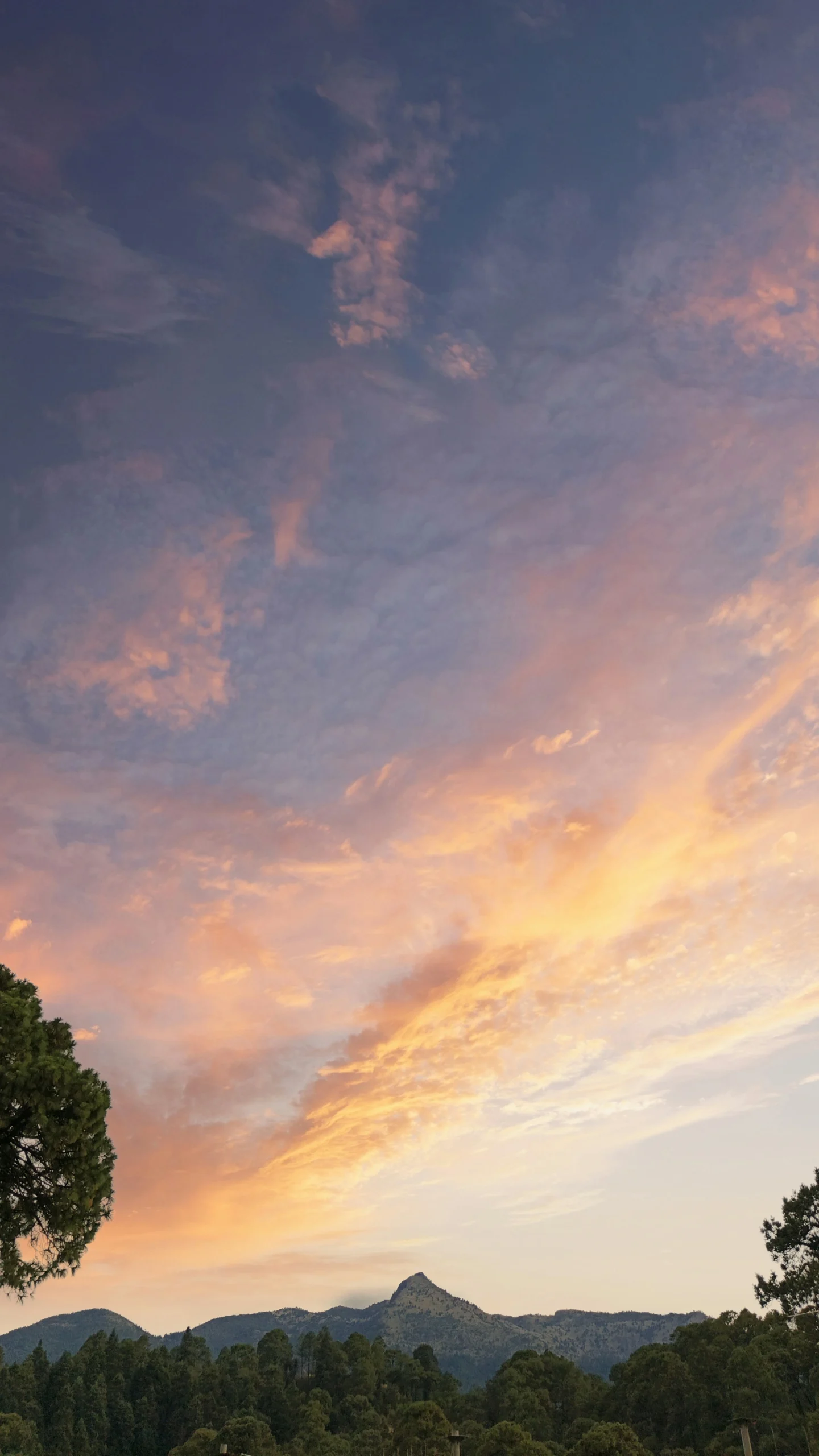 Encuentra
<span>TODO</span>
Alrededor.